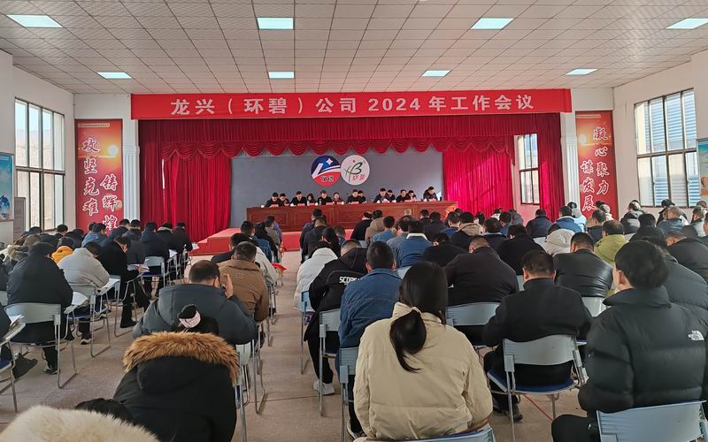 龙兴（云博（中国））公司召开2024年工作会议