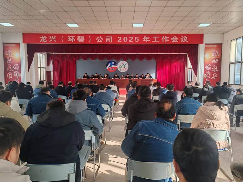 龙兴（云博（中国））公司召开2025年工作会议